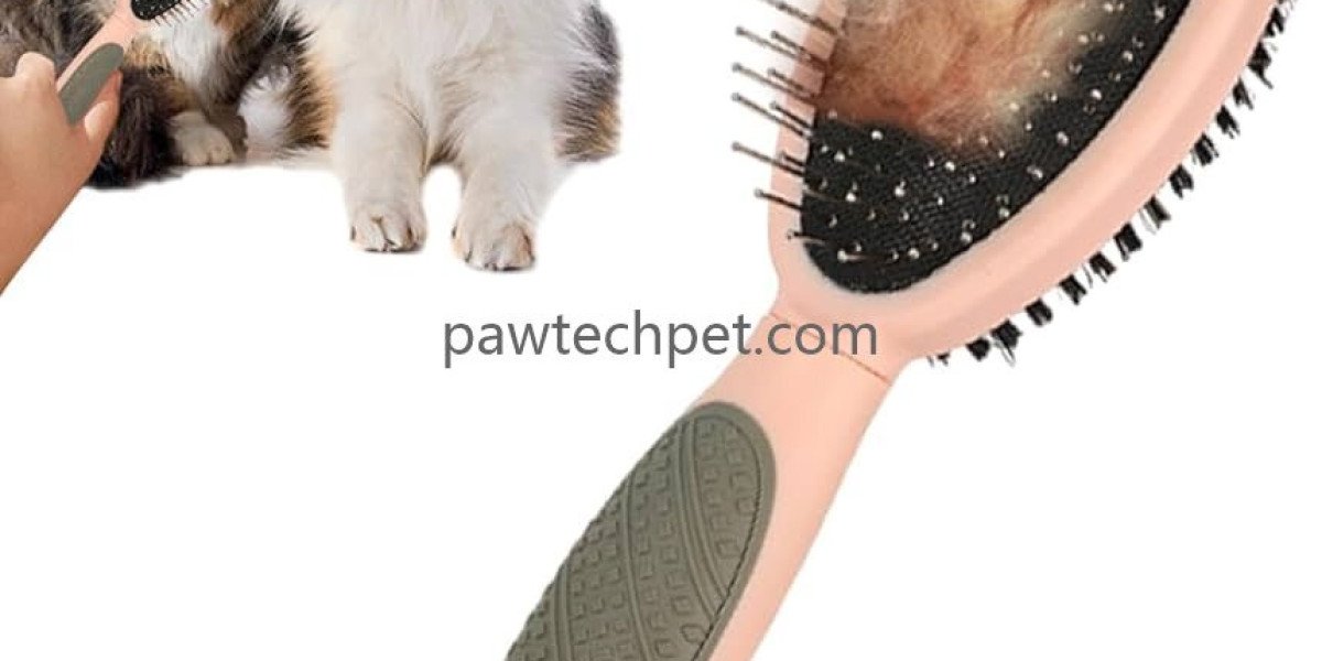 Material Choices in Modern Pet Grooming Tools