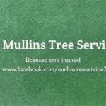 Jonathan Mullins Profile Picture